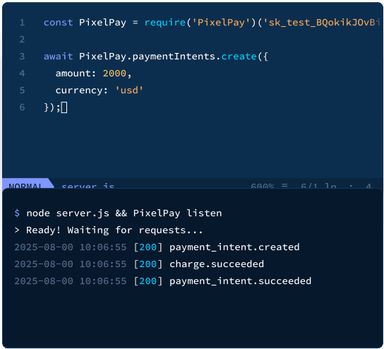 PixelPay API Code Terminal